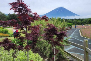 From Tokyo:Mount Fuji Private Customizable Tour With English
