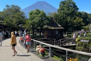 From Tokyo:Mount Fuji Private Customizable Tour With English
