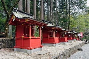 From Tokyo:Mount Fuji Private Customizable Tour With English