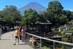 From Tokyo:Mount Fuji Private Customizable Tour With English