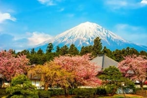 Tokiosta: Fuji-vuori ja Hakone -yksityinen koko päivän retki
