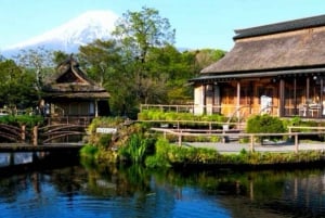 Tokiosta: Fuji-vuori ja Hakone -yksityinen koko päivän retki