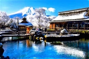 Tokiosta: Fuji-vuori ja Hakone -yksityinen koko päivän retki