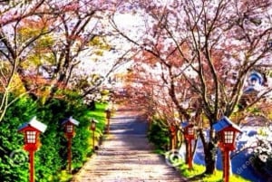 Tokiosta: Fuji-vuori ja Hakone -yksityinen koko päivän retki