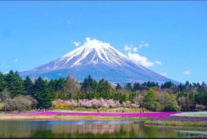 Tokiosta: Fuji-vuori ja Hakone -yksityinen koko päivän retki