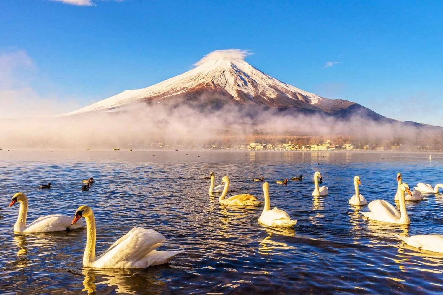 Monte Fuji: Oshino Hakkai, Hakone, Excursión de un día en teleférico Owakudani