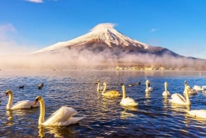 Góra Fuji: Oshino Hakkai, Hakone, Owakudani Cable Car 1-dniowa wycieczka