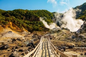 Góra Fuji: Oshino Hakkai, Hakone, Owakudani Cable Car 1-dniowa wycieczka