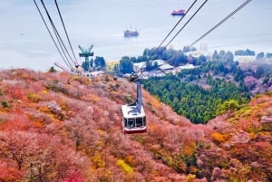 Góra Fuji: Oshino Hakkai, Hakone, Owakudani Cable Car 1-dniowa wycieczka