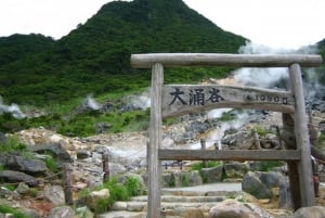 Góra Fuji: Oshino Hakkai, Hakone, Owakudani Cable Car 1-dniowa wycieczka