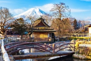 Góra Fuji: Oshino Hakkai, Hakone, Owakudani Cable Car 1-dniowa wycieczka