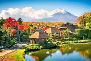 Góra Fuji: Oshino Hakkai, Hakone, Owakudani Cable Car 1-dniowa wycieczka