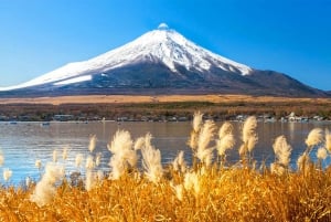 Góra Fuji: Oshino Hakkai, Hakone, Owakudani Cable Car 1-dniowa wycieczka