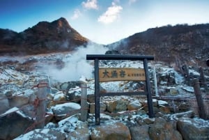 Góra Fuji: Oshino Hakkai, Hakone, Owakudani Cable Car 1-dniowa wycieczka