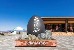 Góra Fuji: Oshino Hakkai, Hakone, Owakudani Cable Car 1-dniowa wycieczka