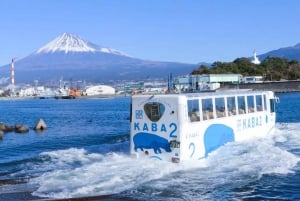 Mt.Fuji Hakone dagstur med sjön Ashi kryssning, GRATIS linbana