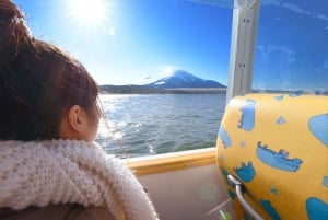 Mt.Fuji Hakone dagstur med sjön Ashi kryssning, GRATIS linbana