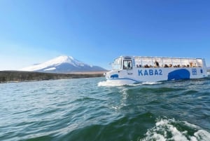 Mt.Fuji Hakone dagstur med sjön Ashi kryssning, GRATIS linbana