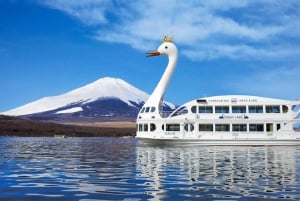 Mt.Fuji Hakone dagstur med sjön Ashi kryssning, GRATIS linbana