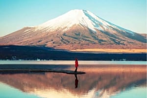 Mt.Fuji Hakone dagstur med sjön Ashi kryssning, GRATIS linbana
