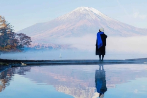 Mt.Fuji Hakone dagstur med sjön Ashi kryssning, GRATIS linbana