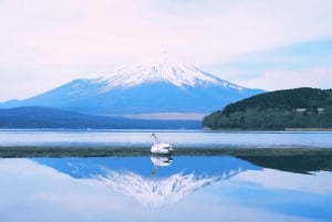 Mt.Fuji Hakone dagstur med sjön Ashi kryssning, GRATIS linbana