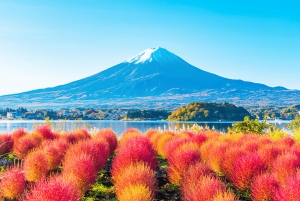 Mt.Fuji Hakone dagstur med sjön Ashi kryssning, GRATIS linbana