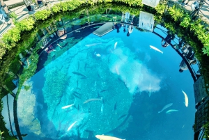 Mt.Fuji Hakone dagstur med sjön Ashi kryssning, GRATIS linbana