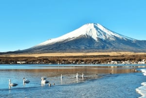 Mt.Fuji Hakone dagstur med sjön Ashi kryssning, GRATIS linbana