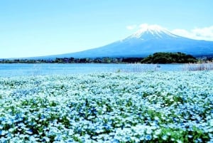 Mt.Fuji Hakone dagstur med sjön Ashi kryssning, GRATIS linbana