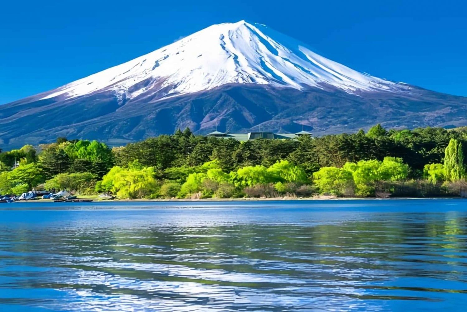 Da Tokyo: tour privato di un giorno al Monte Fuji con autista che parla inglese
