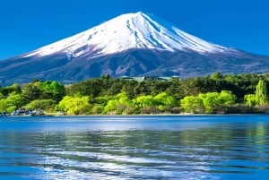 Koko päivän yksityinen kierros Fujille Tokiosta (mukautettavissa)