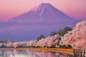 Koko päivän yksityinen kierros Fujille Tokiosta (mukautettavissa)