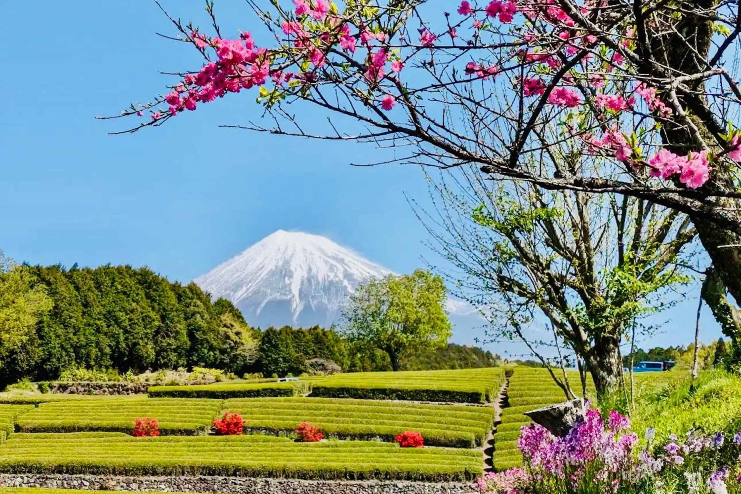Visite privée du mont Fuji au départ de Tokyo/Yokohama (personnalisable)