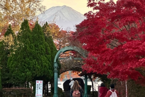 Visite privée du mont Fuji au départ de Tokyo/Yokohama (personnalisable)