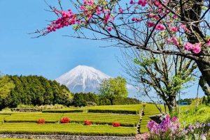 Visite privée du mont Fuji au départ de Tokyo/Yokohama (personnalisable)