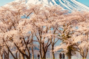 Visite privée du mont Fuji au départ de Tokyo/Yokohama (personnalisable)