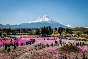 Visite privée du mont Fuji au départ de Tokyo/Yokohama (personnalisable)
