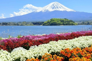 Visite privée du mont Fuji au départ de Tokyo/Yokohama (personnalisable)