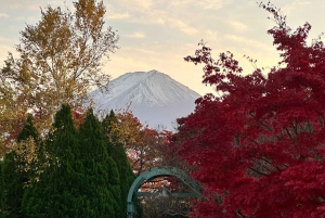 Visite privée du mont Fuji au départ de Tokyo/Yokohama (personnalisable)
