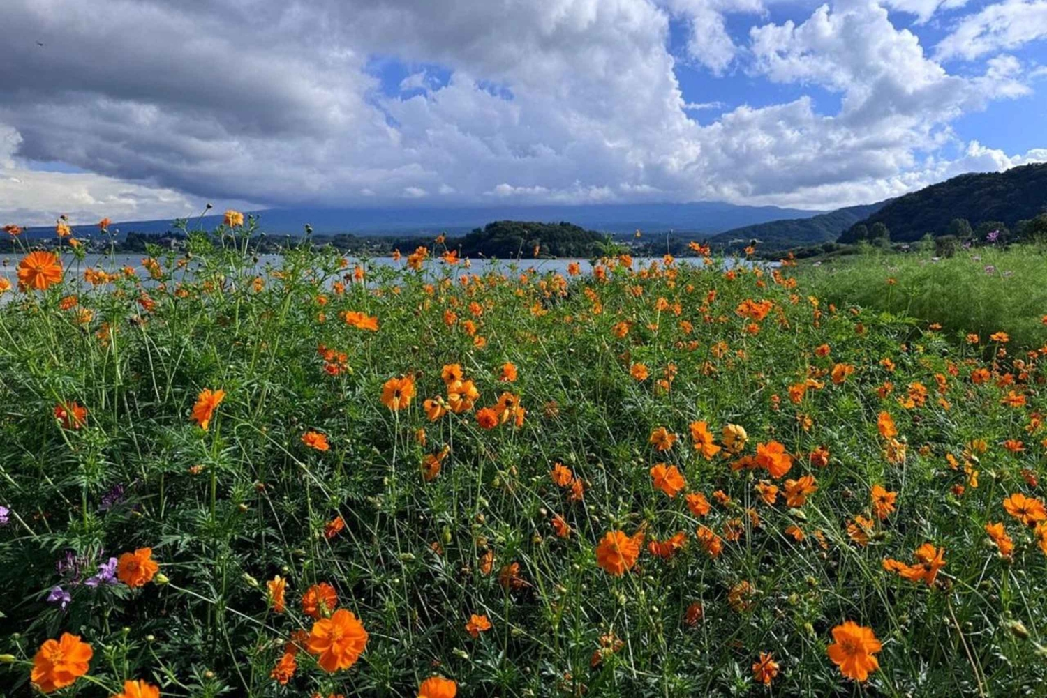 Privétour naar de berg Fuji met ophaalservice vanaf je hotel in Tokio