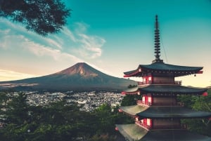 Tour privado al monte Fuji con servicio de recogida del hotel en Tokio