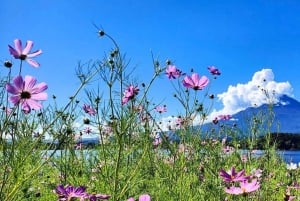 Tour privado al monte Fuji con servicio de recogida del hotel en Tokio