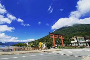Tour privado al monte Fuji con servicio de recogida del hotel en Tokio