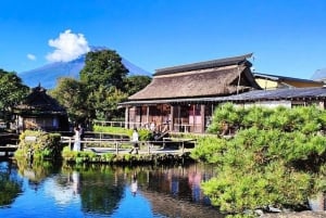 Tour privado al monte Fuji con servicio de recogida del hotel en Tokio