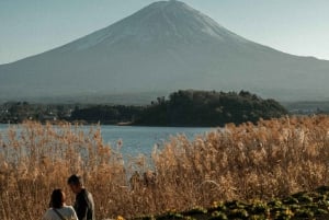 Tour privado al monte Fuji con servicio de recogida del hotel en Tokio