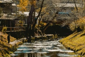 Tour privado al monte Fuji con servicio de recogida del hotel en Tokio