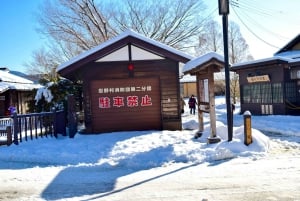 Tour privado al monte Fuji con servicio de recogida del hotel en Tokio