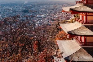 Tour privado al monte Fuji con servicio de recogida del hotel en Tokio