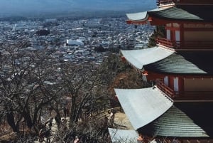Tour privado al monte Fuji con servicio de recogida del hotel en Tokio